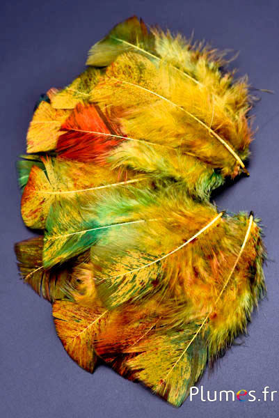 Pute Spritzer Herbst - 6-8 cm - curry